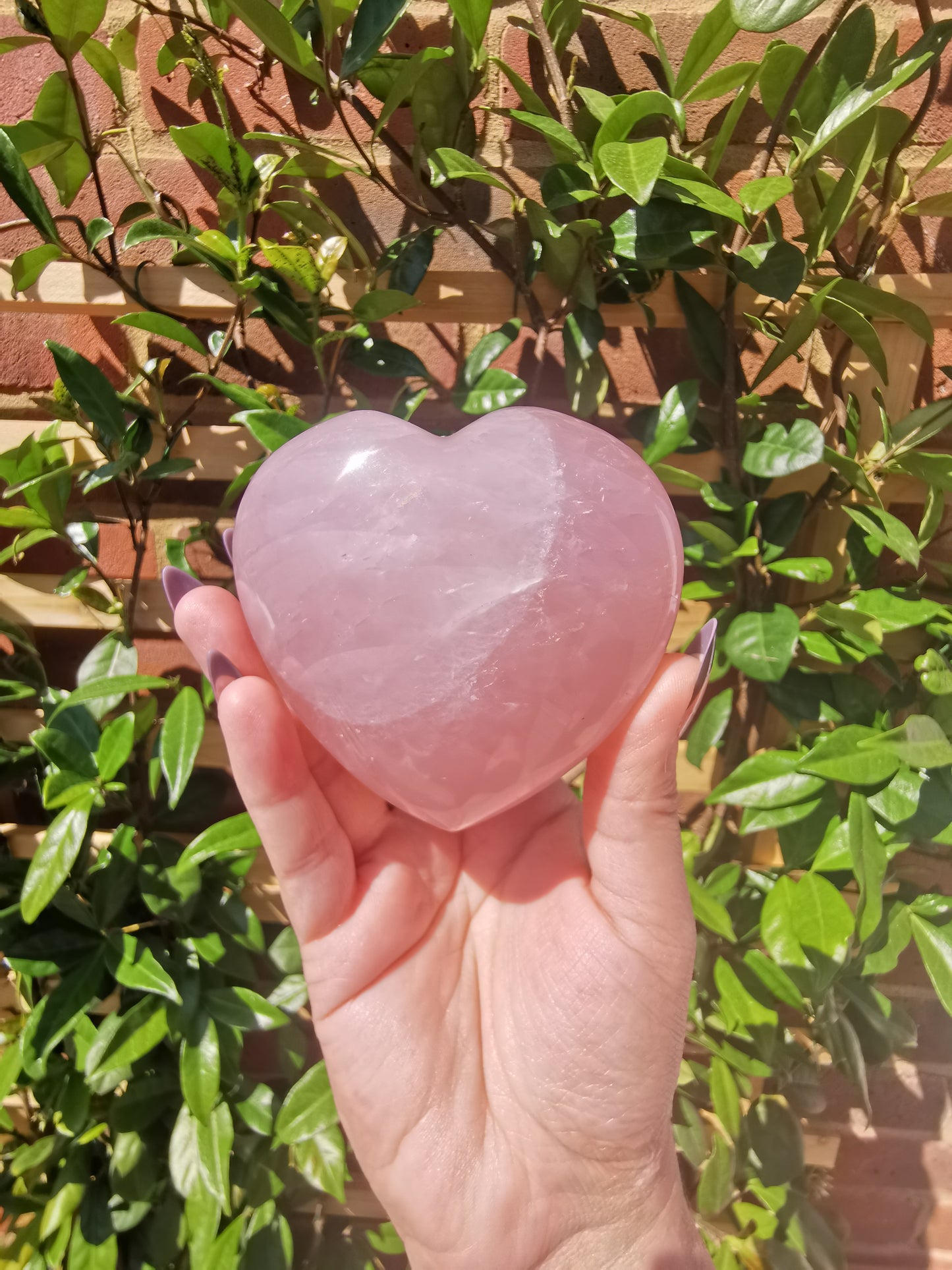 Rose Quartz Hearts from Madagascar