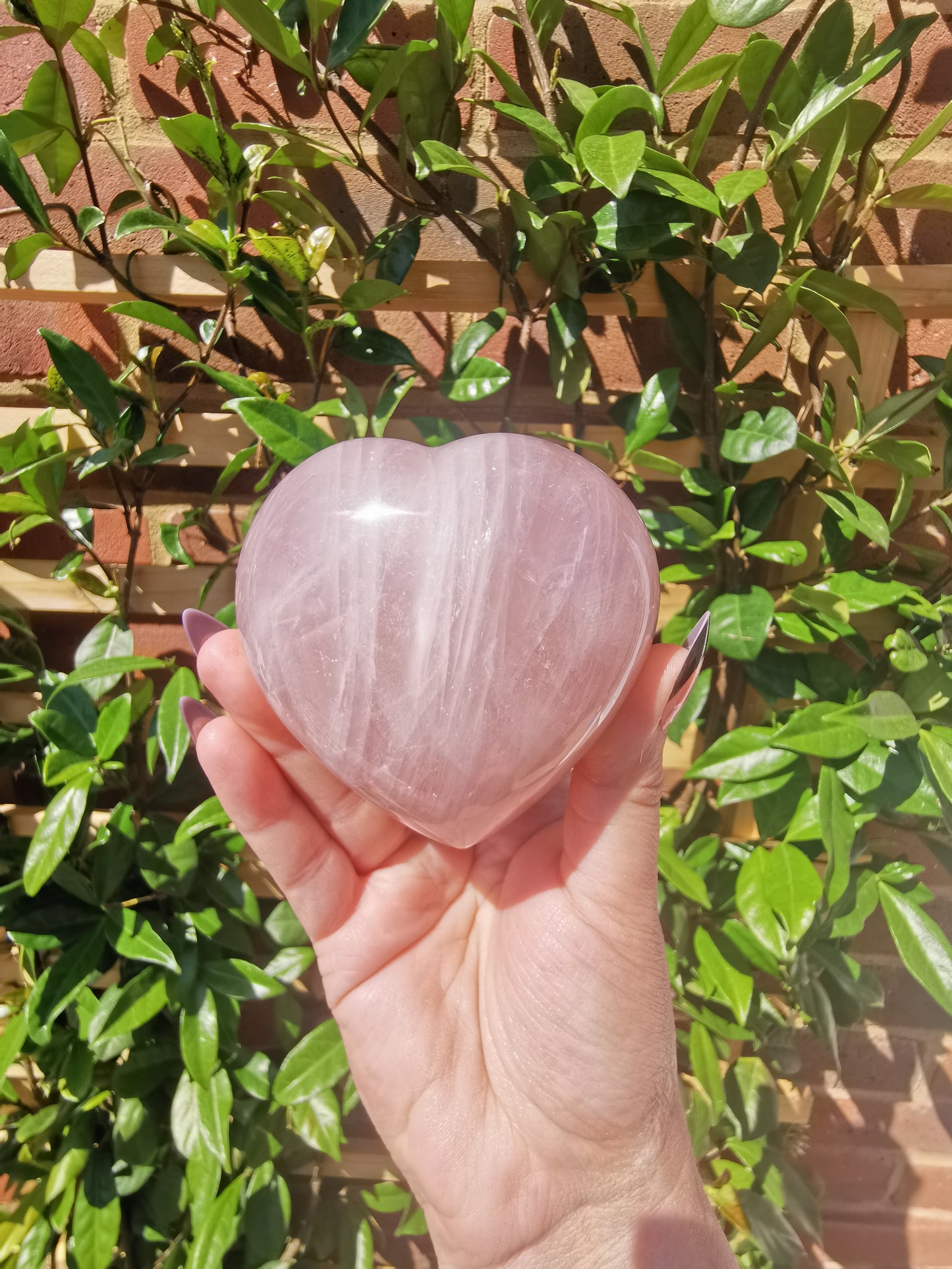 Rose Quartz Hearts from Madagascar