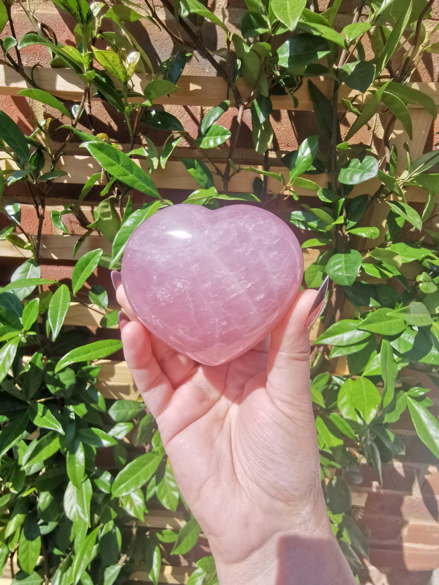 Rose Quartz Hearts from Madagascar