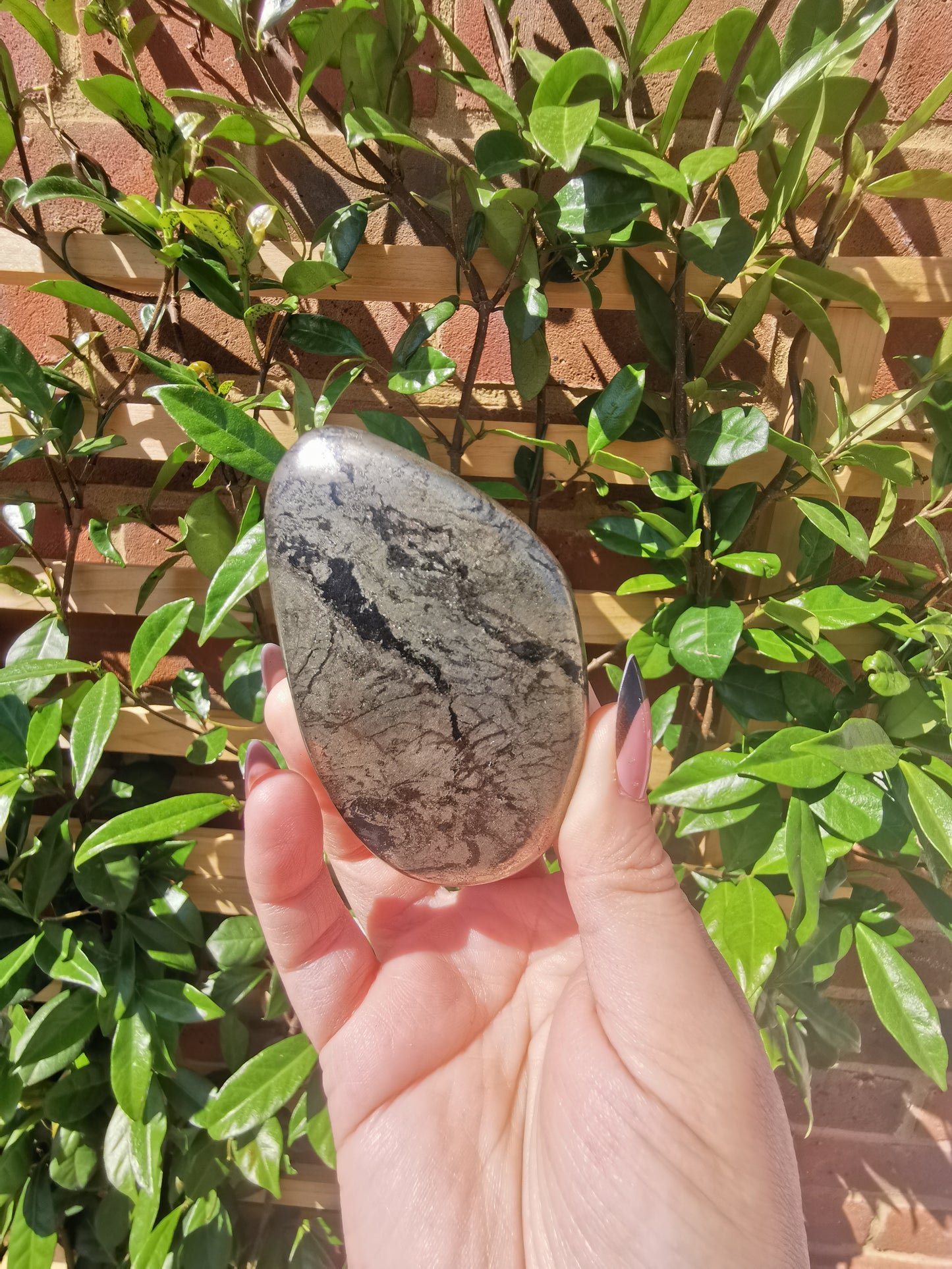 *Rare* Pharoah Stone - Pyrite in Basalt Palm Stones from Zimbabwe