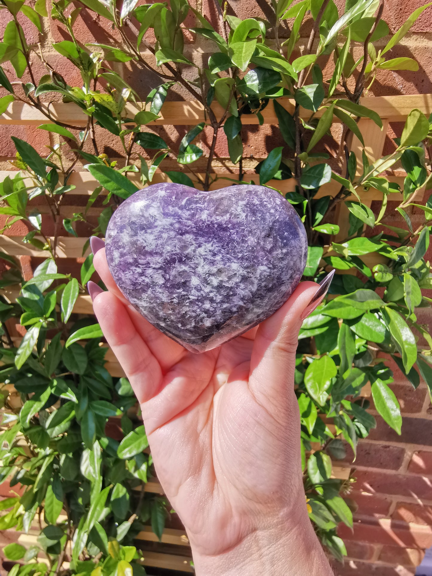 Lepidolite with Rubellite Hearts from Madagascar