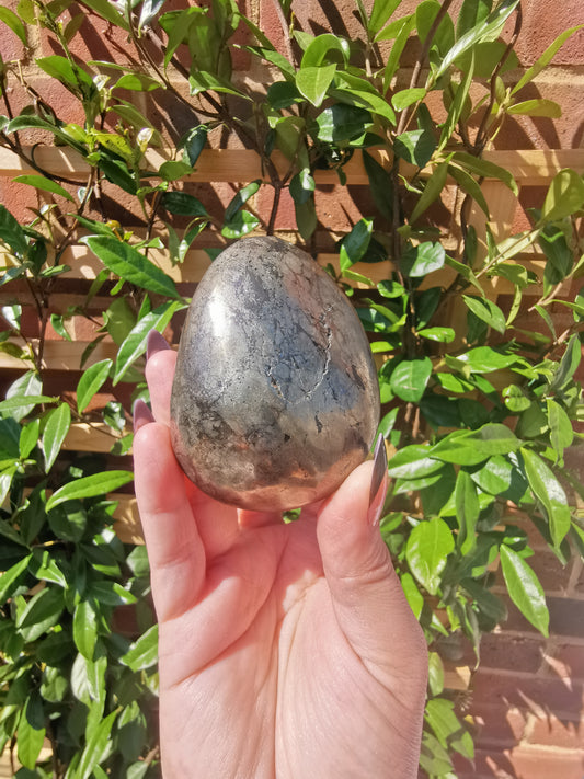 *Rare* Pharoah Stone - Pyrite in Basalt Palm Stones from Zimbabwe