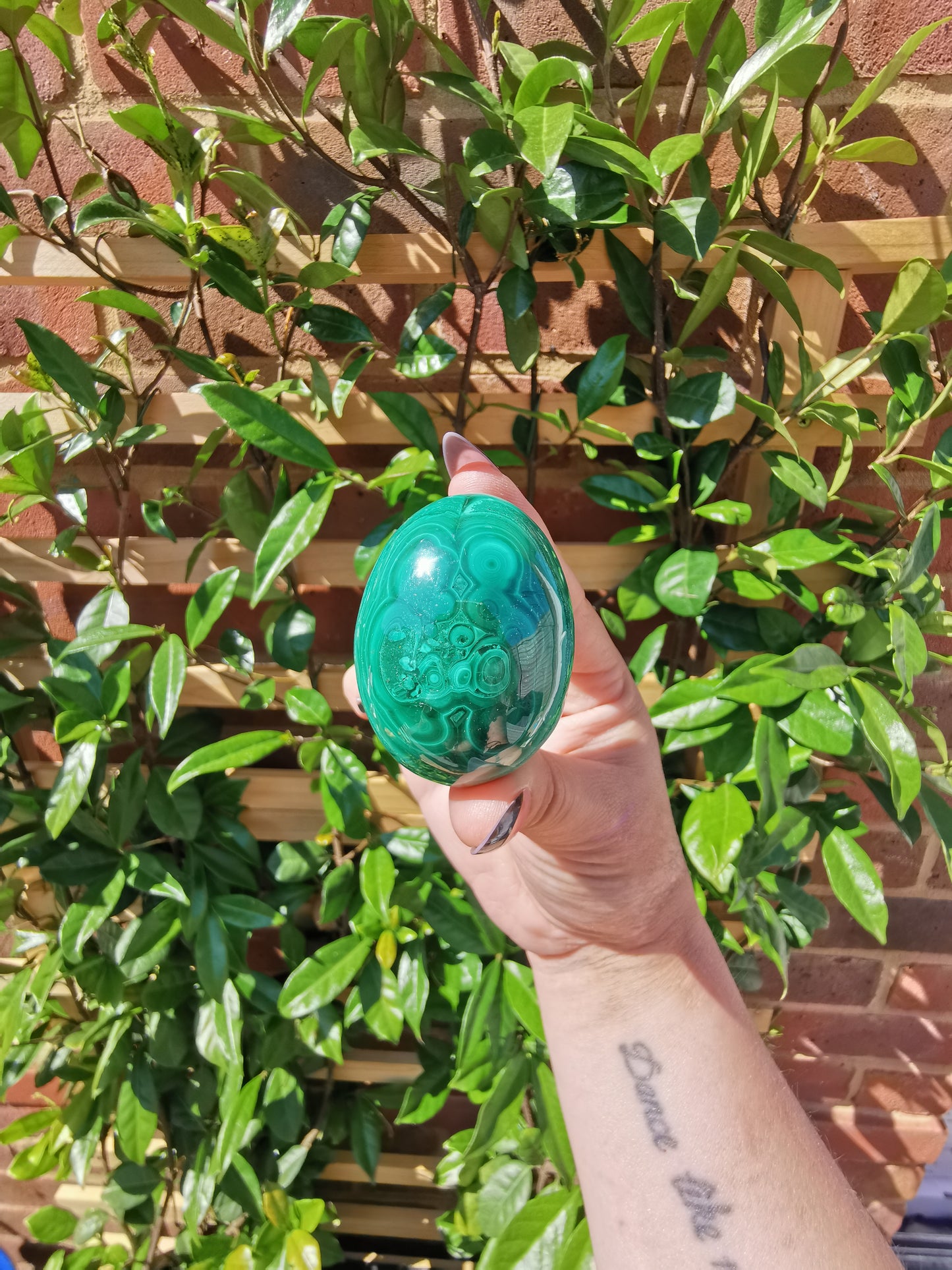 A Grade Flower Banded Malachite Eggs from Congo