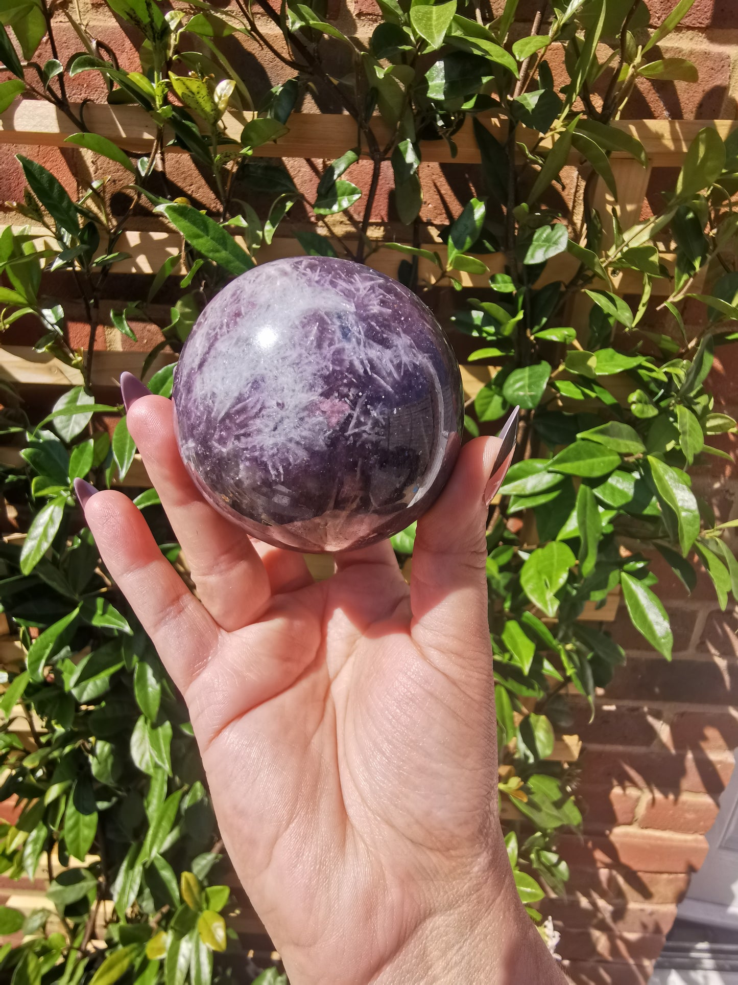 Lepidolite with Rubellite Spheres from Ambatondrazaka, Madagascar