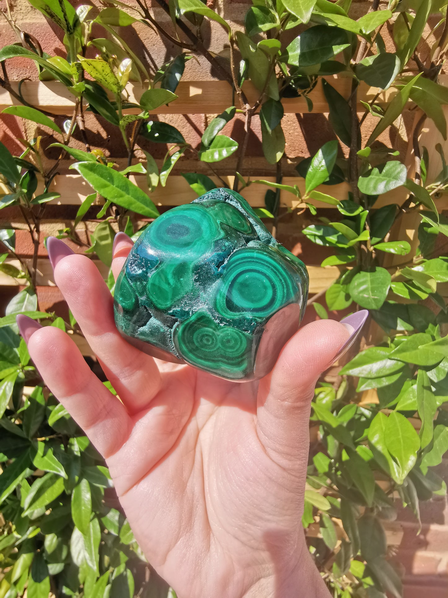 Malachite Free Forms from Congo