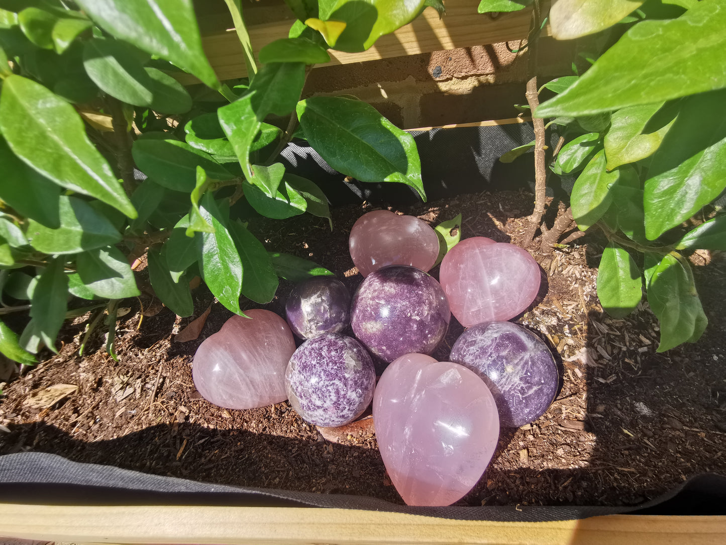 Lepidolite with Rubellite Spheres from Ambatondrazaka, Madagascar