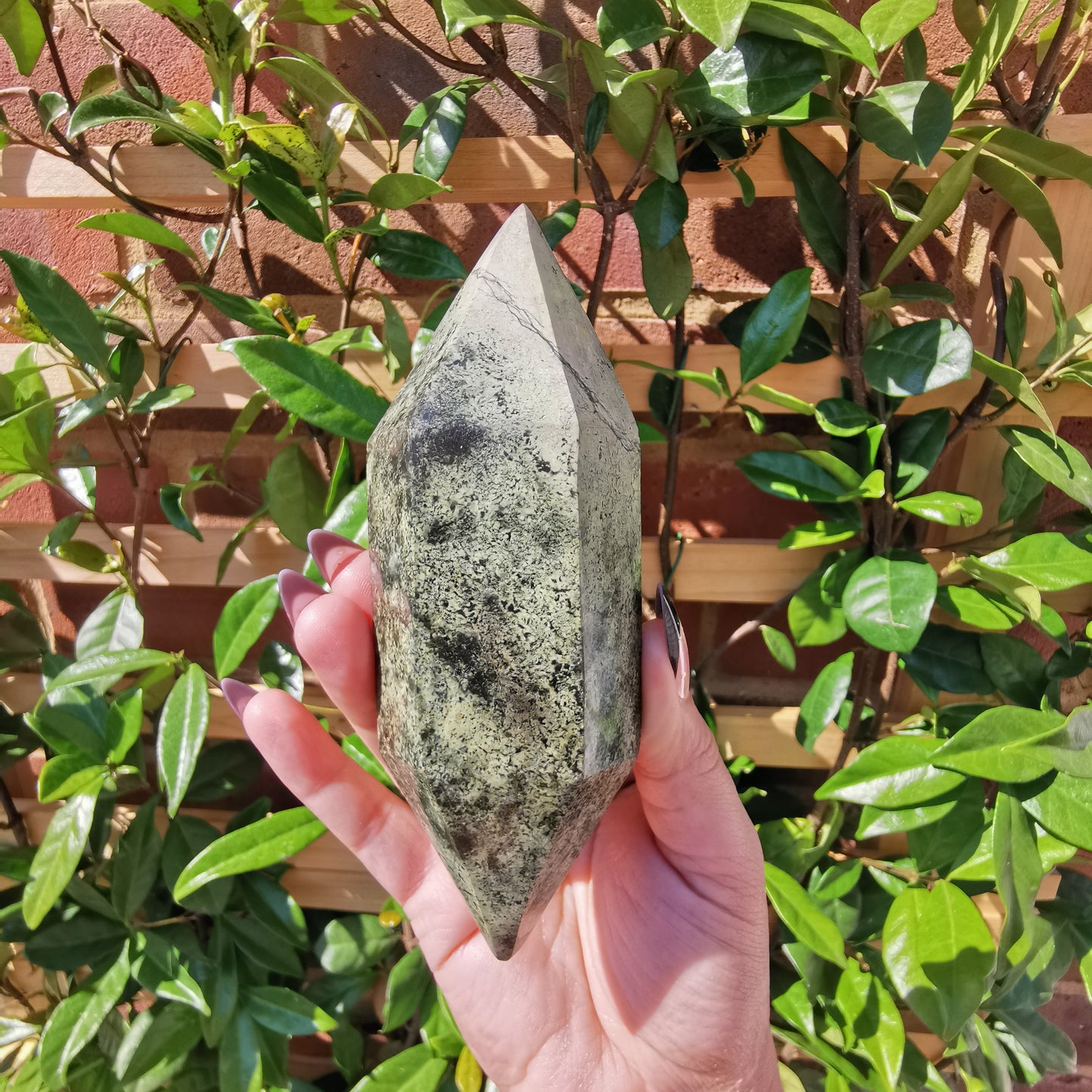 *Rare* Double Terminated Leopard Stone Points from Nyanga, Zimbabwe