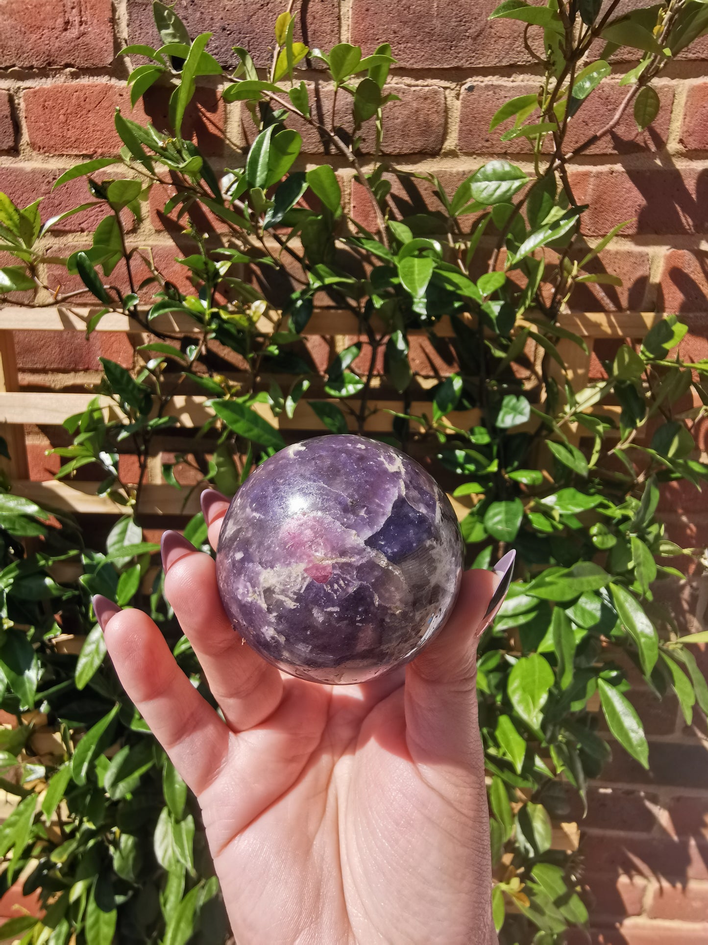 Lepidolite with Rubellite Spheres from Ambatondrazaka, Madagascar