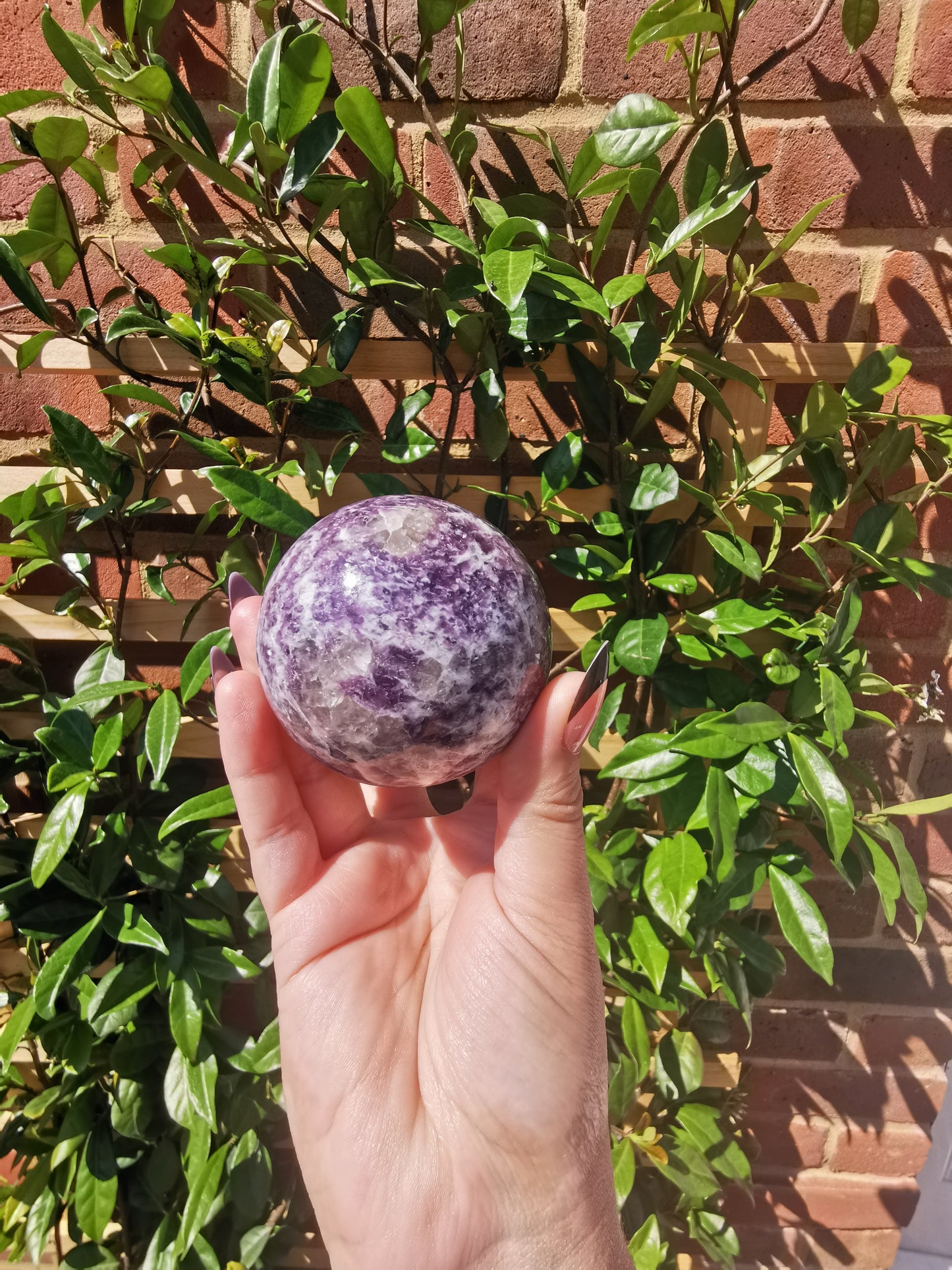 Lepidolite with Rubellite Spheres from Ambatondrazaka, Madagascar