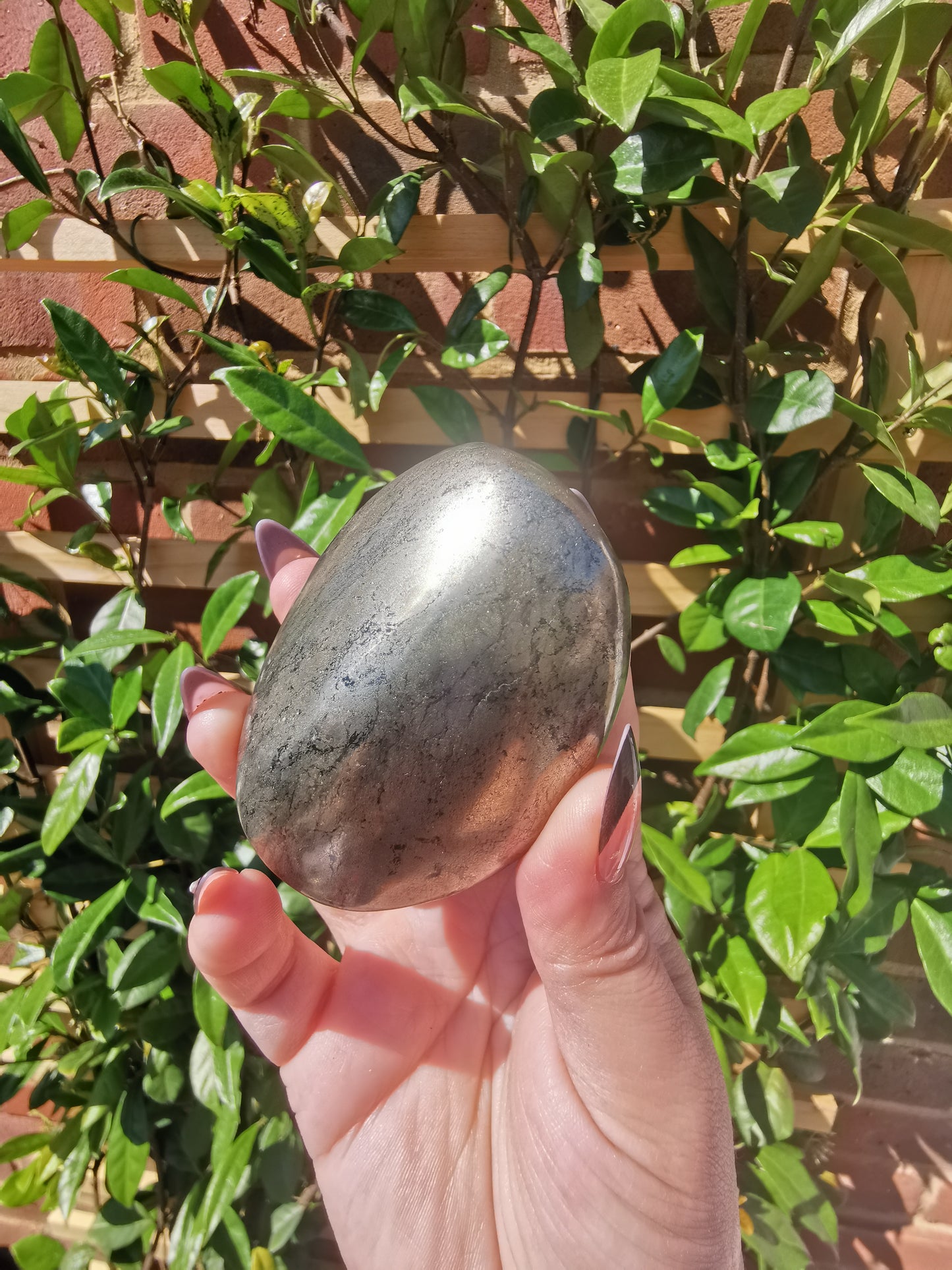 *Rare* Pharoah Stone - Pyrite in Basalt Palm Stones from Zimbabwe