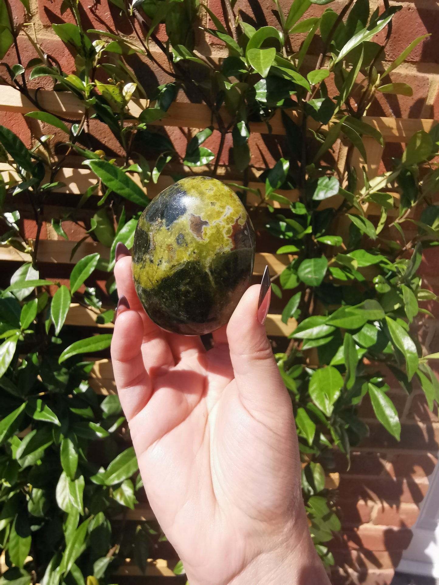 Green Opal Palm Stones from Madagascar