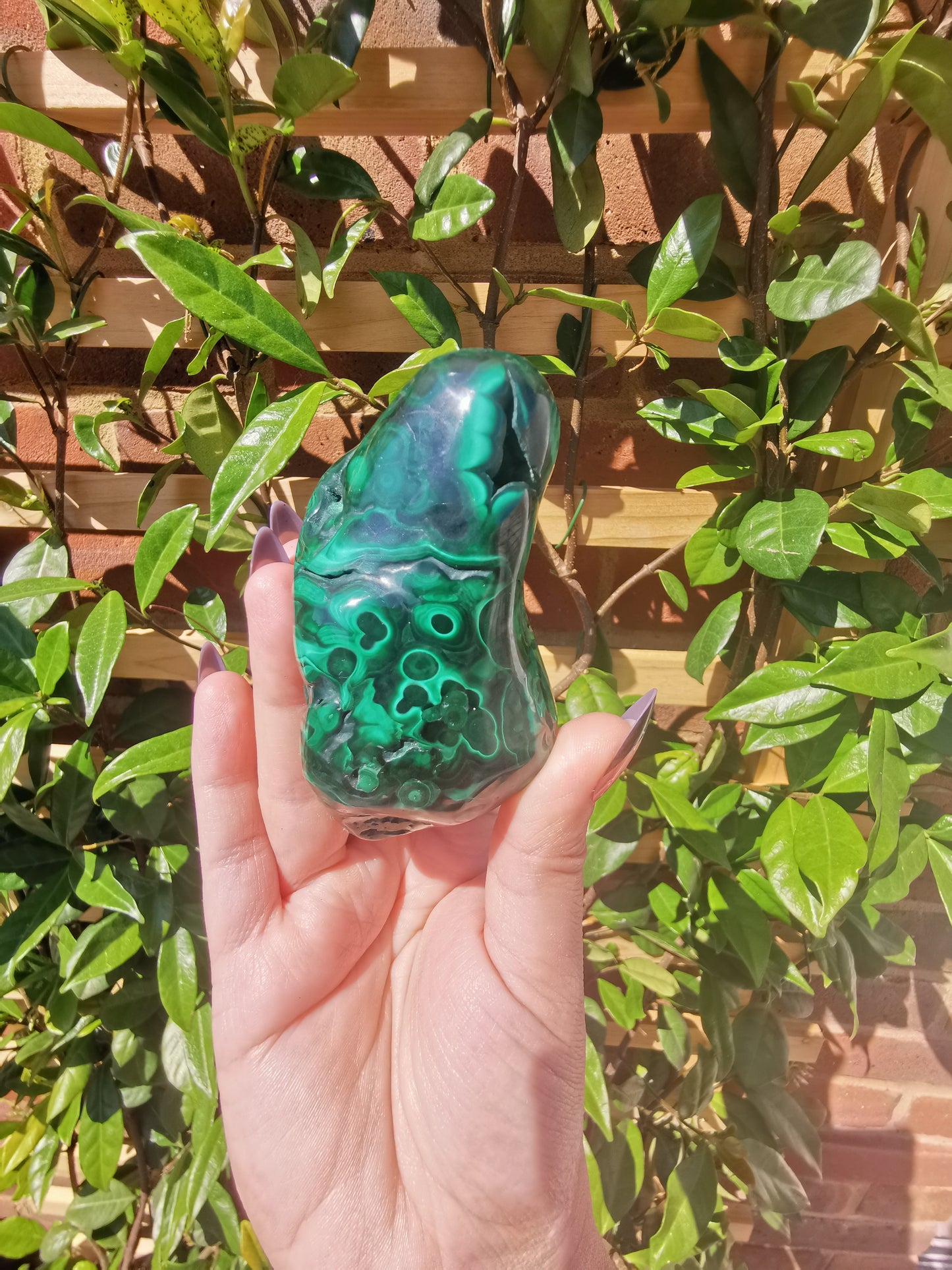Malachite Free Forms from Congo