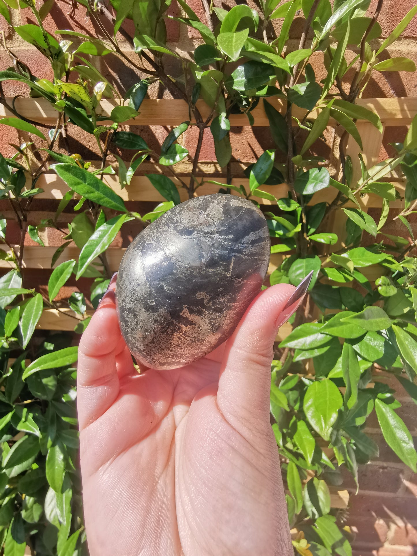 *Rare* Pharoah Stone - Pyrite in Basalt Palm Stones from Zimbabwe