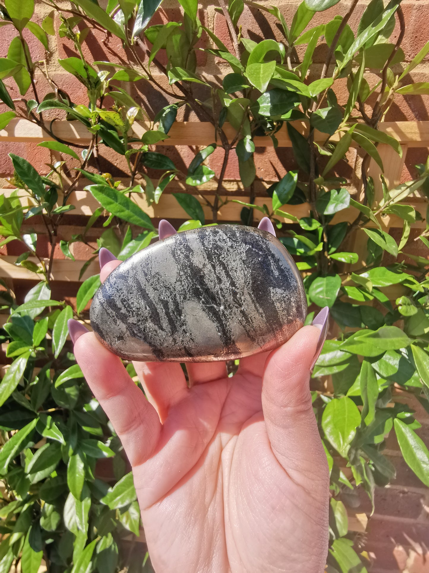*Rare* Pharoah Stone - Pyrite in Basalt Palm Stones from Zimbabwe