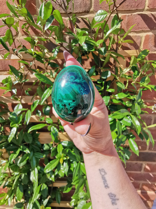 A Grade Flower Banded Malachite Eggs from Congo