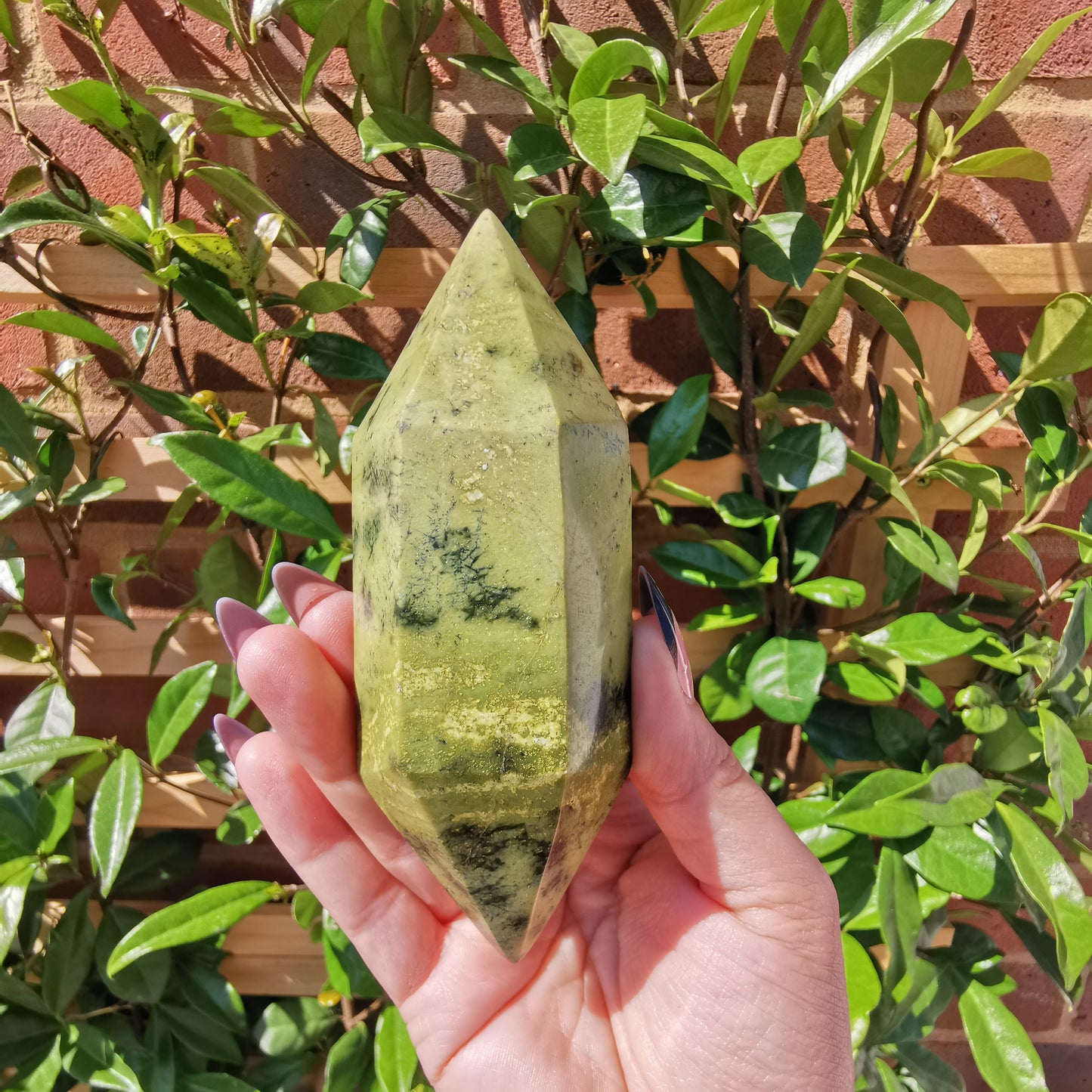 *Rare* Double Terminated Leopard Stone Points from Nyanga, Zimbabwe