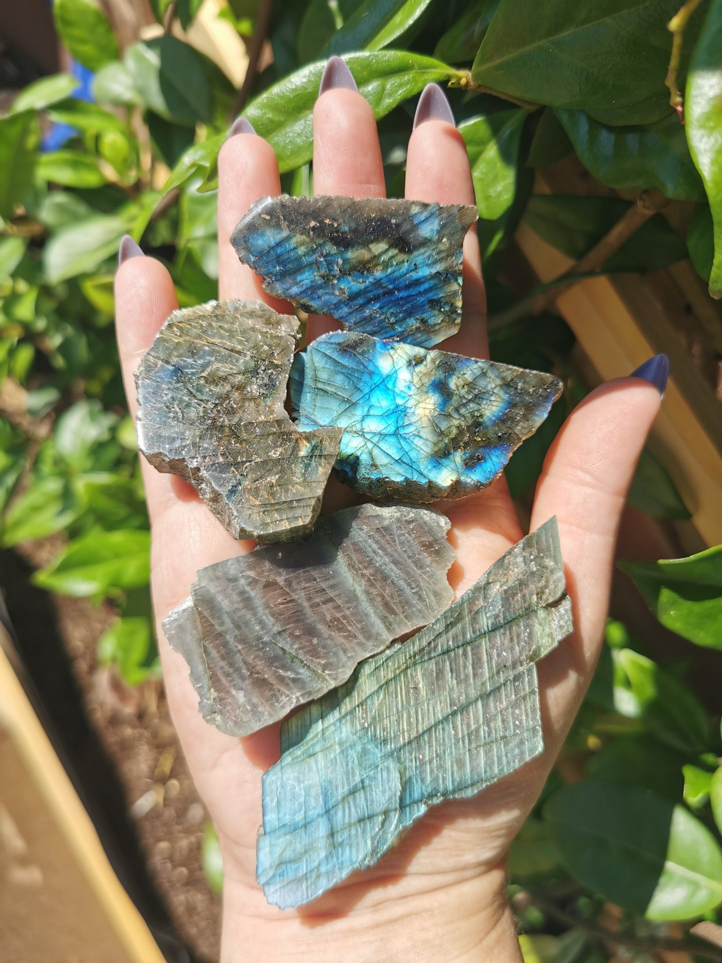 Flashy Labradorite Slices from Tulear, Madagascar