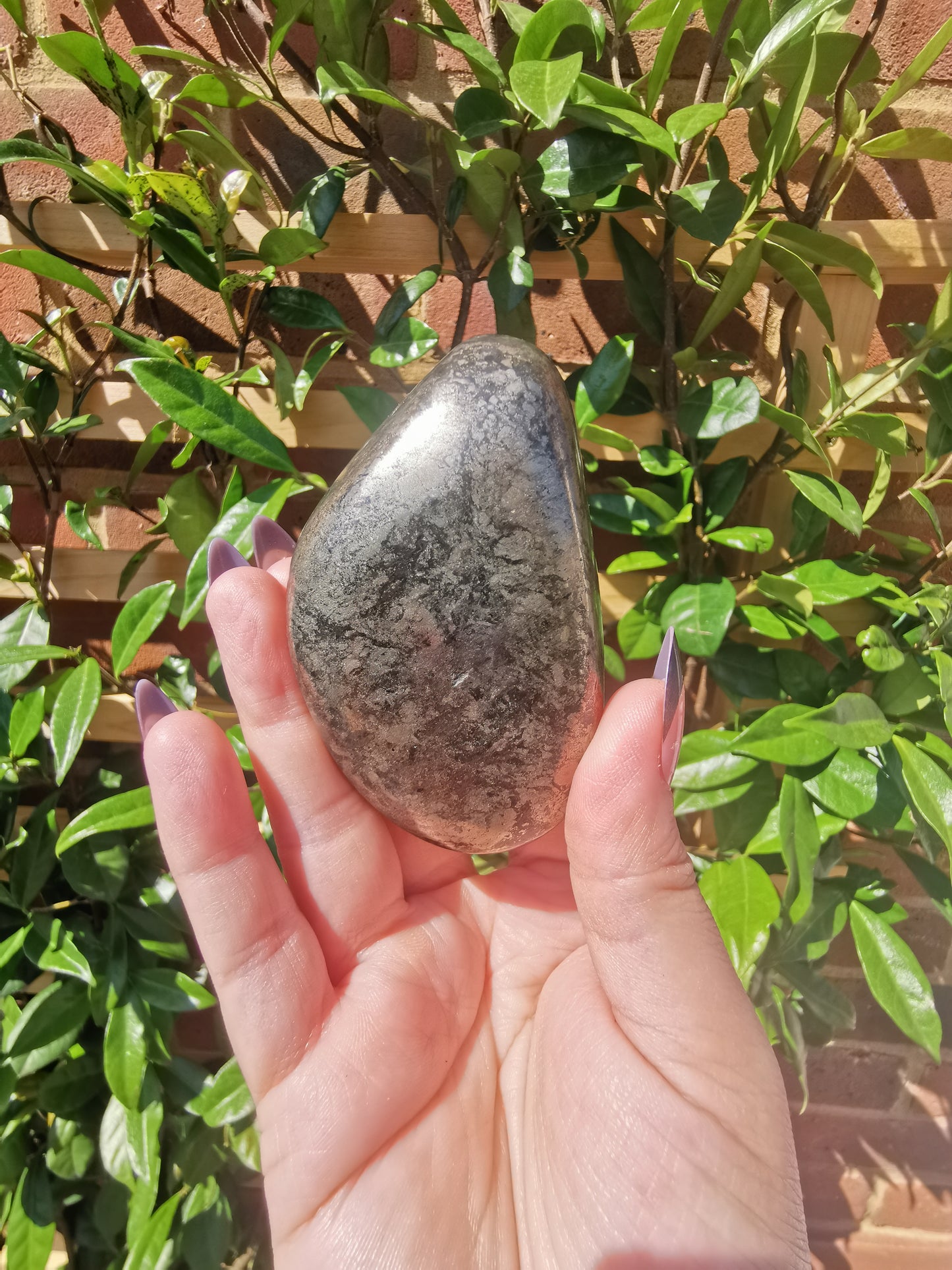 *Rare* Pharoah Stone - Pyrite in Basalt Palm Stones from Zimbabwe
