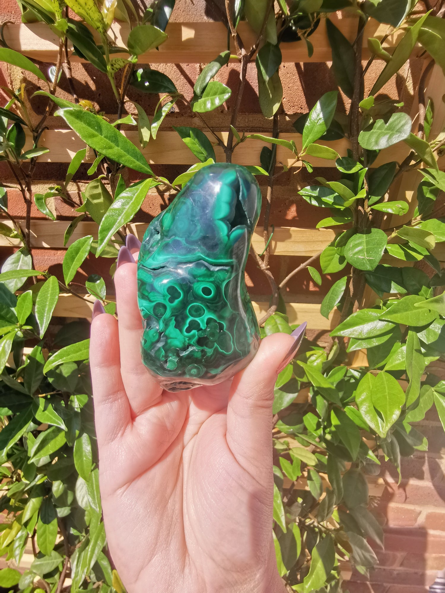 Crystals - Freeforms