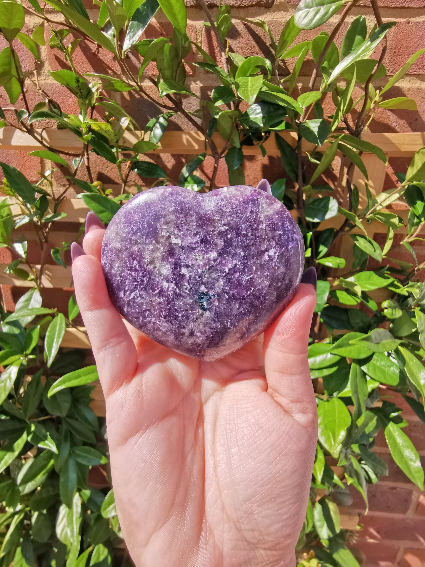 Lepidolite with Rubellite Hearts from Madagascar
