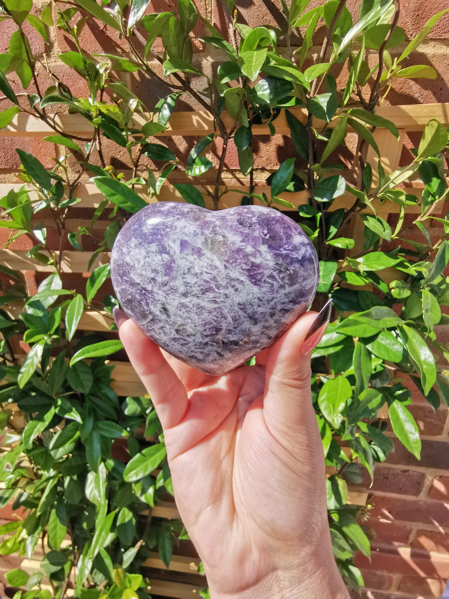 Lepidolite with Rubellite Hearts from Madagascar