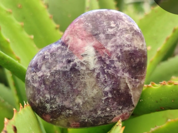 Lepidolite with Rubellite Hearts from Madagascar