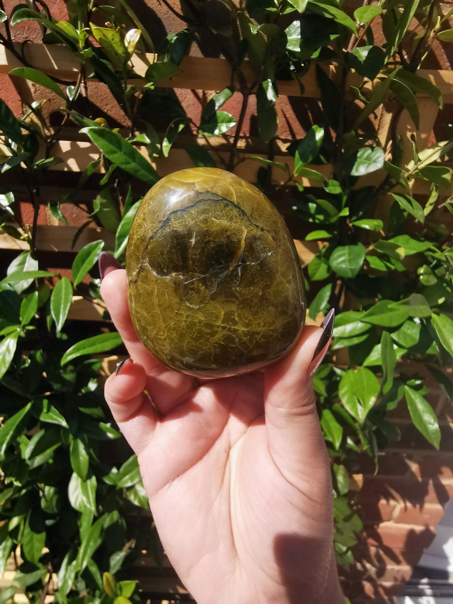 Green Opal Palm Stones from Madagascar