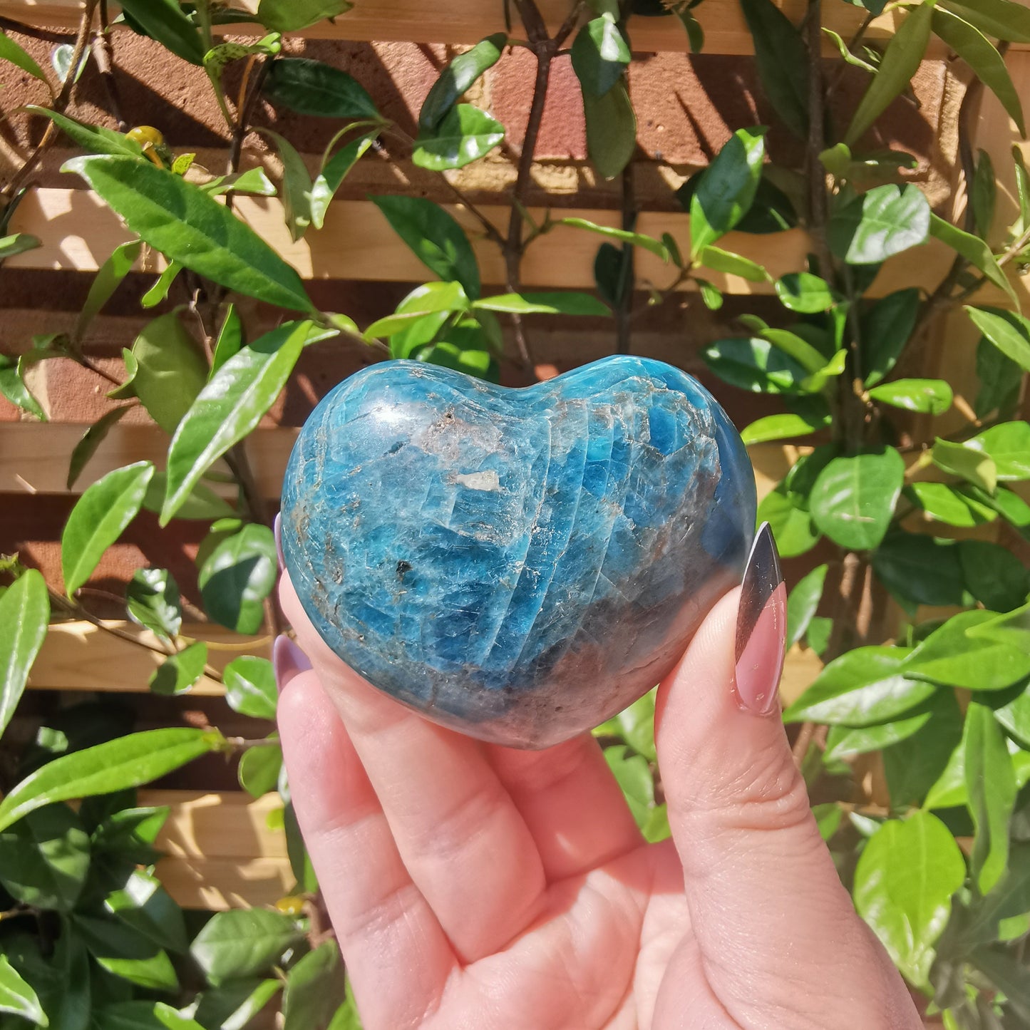 Blue Apatite Hearts from Madagascar