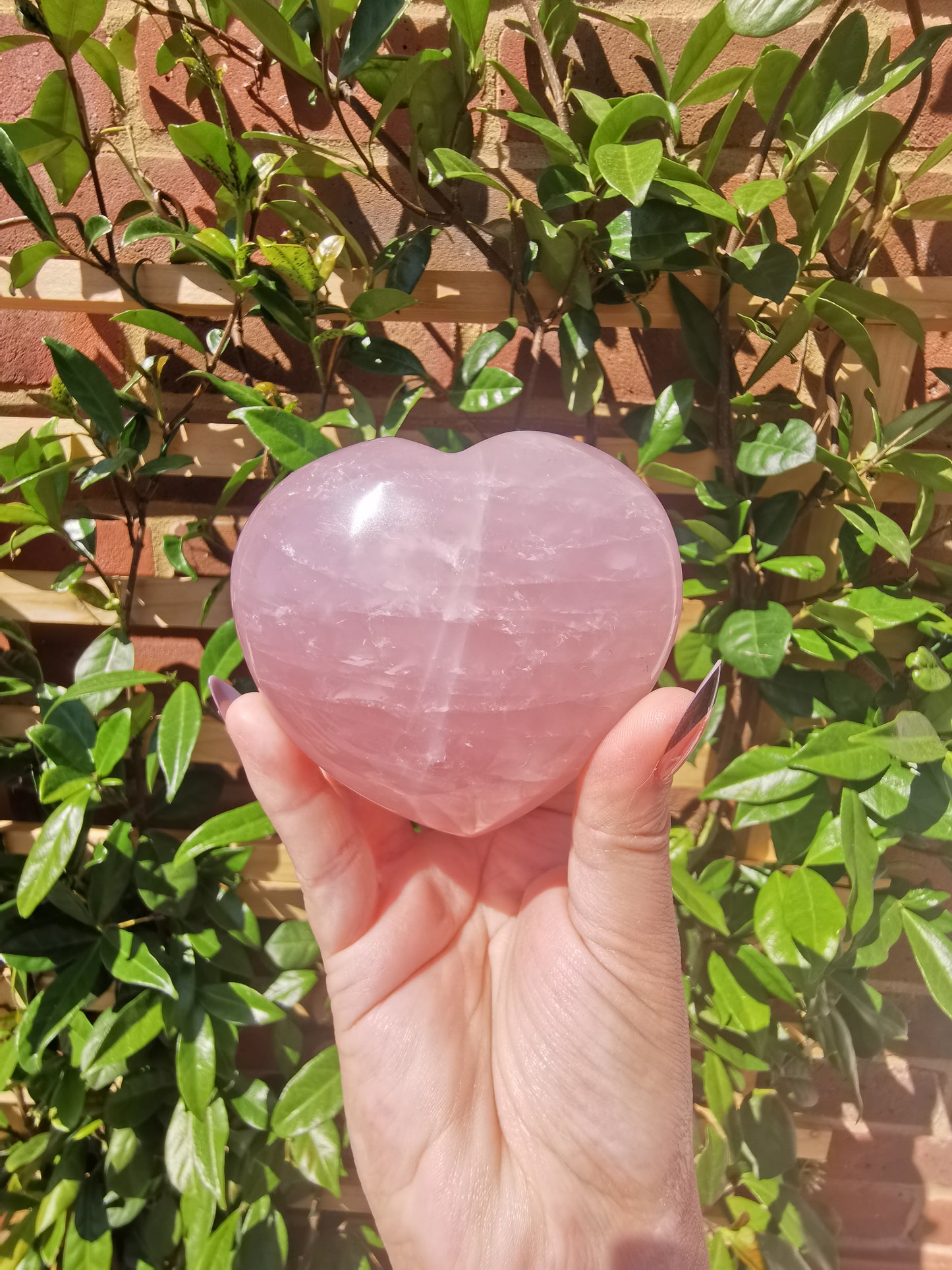 Rose Quartz Hearts from Madagascar