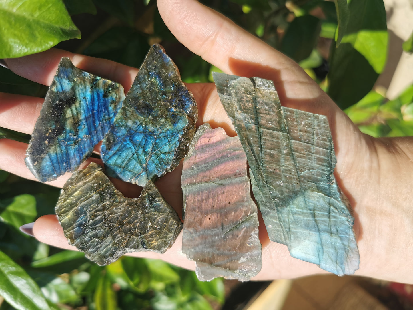 Flashy Labradorite Slices from Tulear, Madagascar