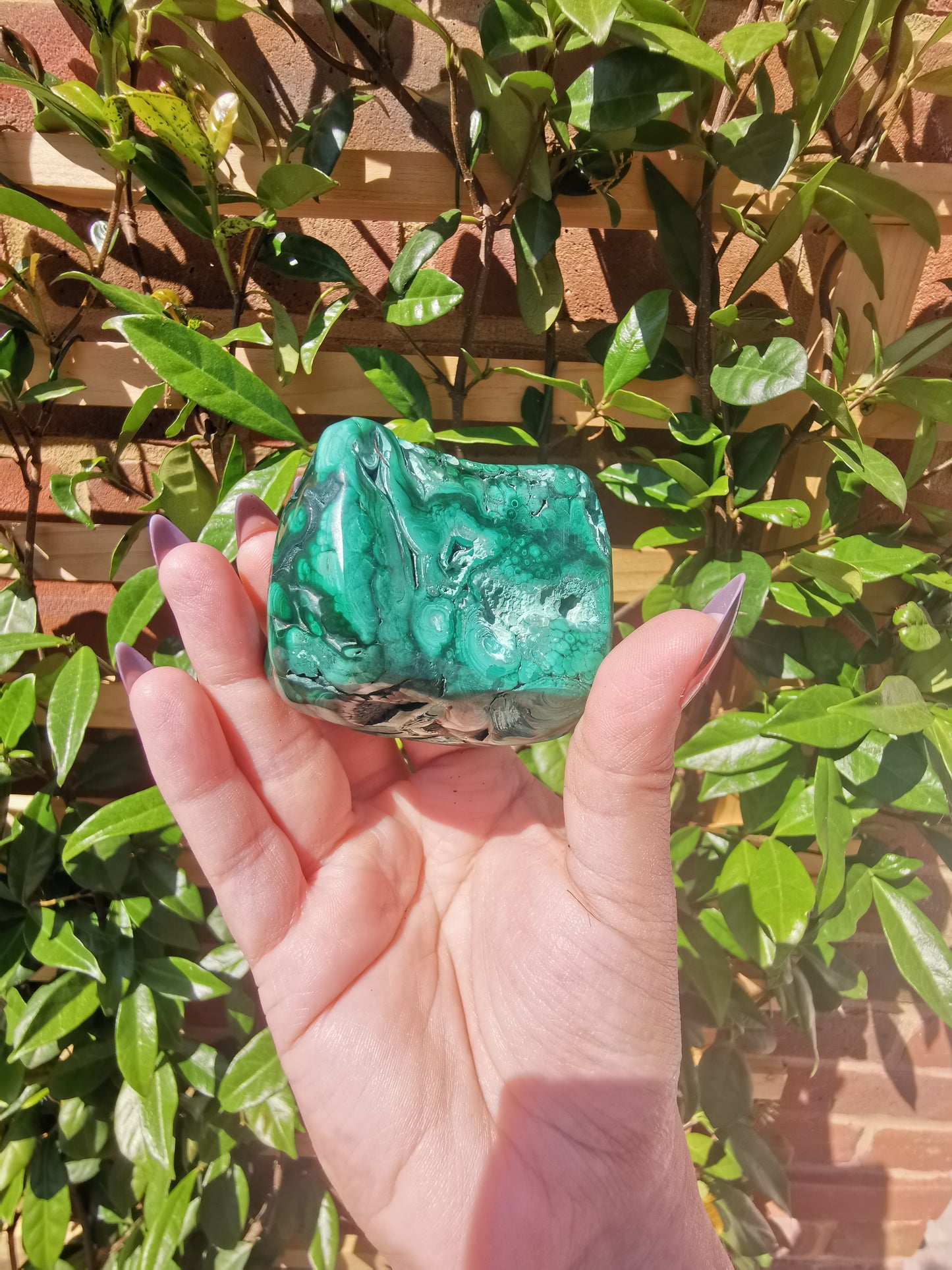 Malachite Free Forms from Congo