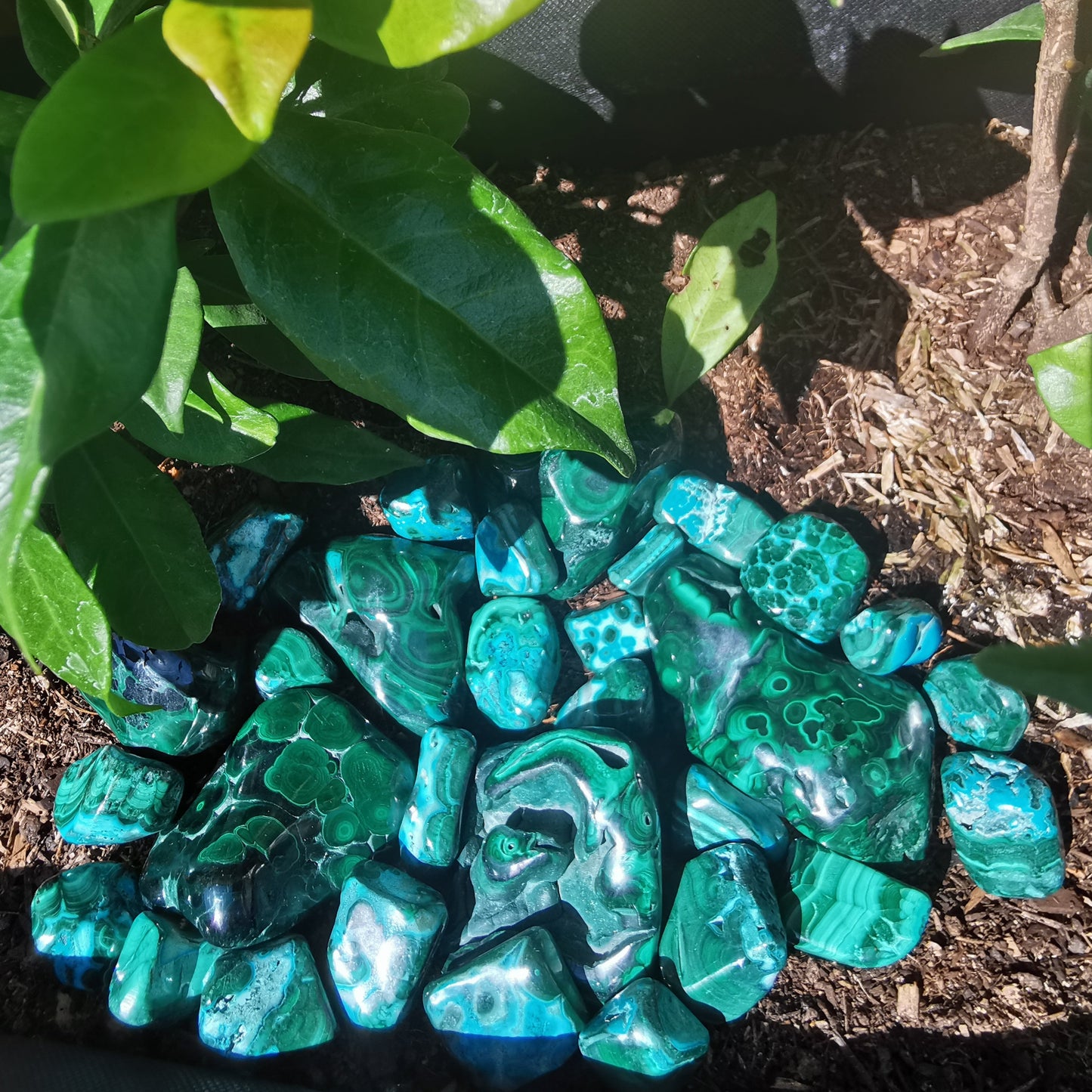 Small Malacholla Free Forms - Malachite & Chrysocolla from Congo