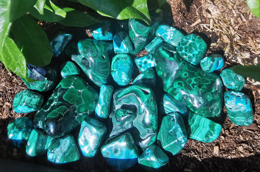Small Malacholla Free Forms - Malachite & Chrysocolla from Congo