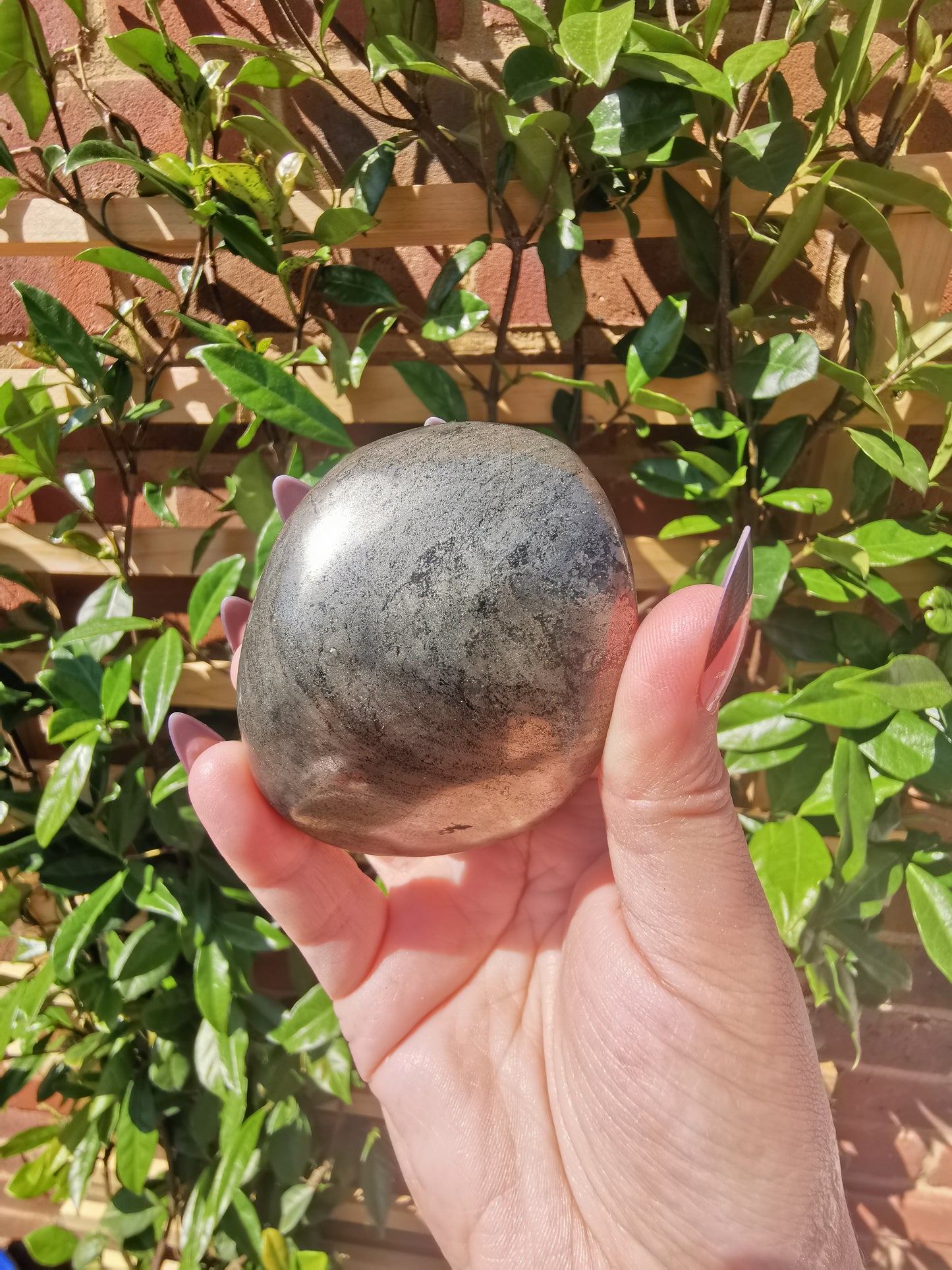 *Rare* Pharoah Stone - Pyrite in Basalt Palm Stones from Zimbabwe
