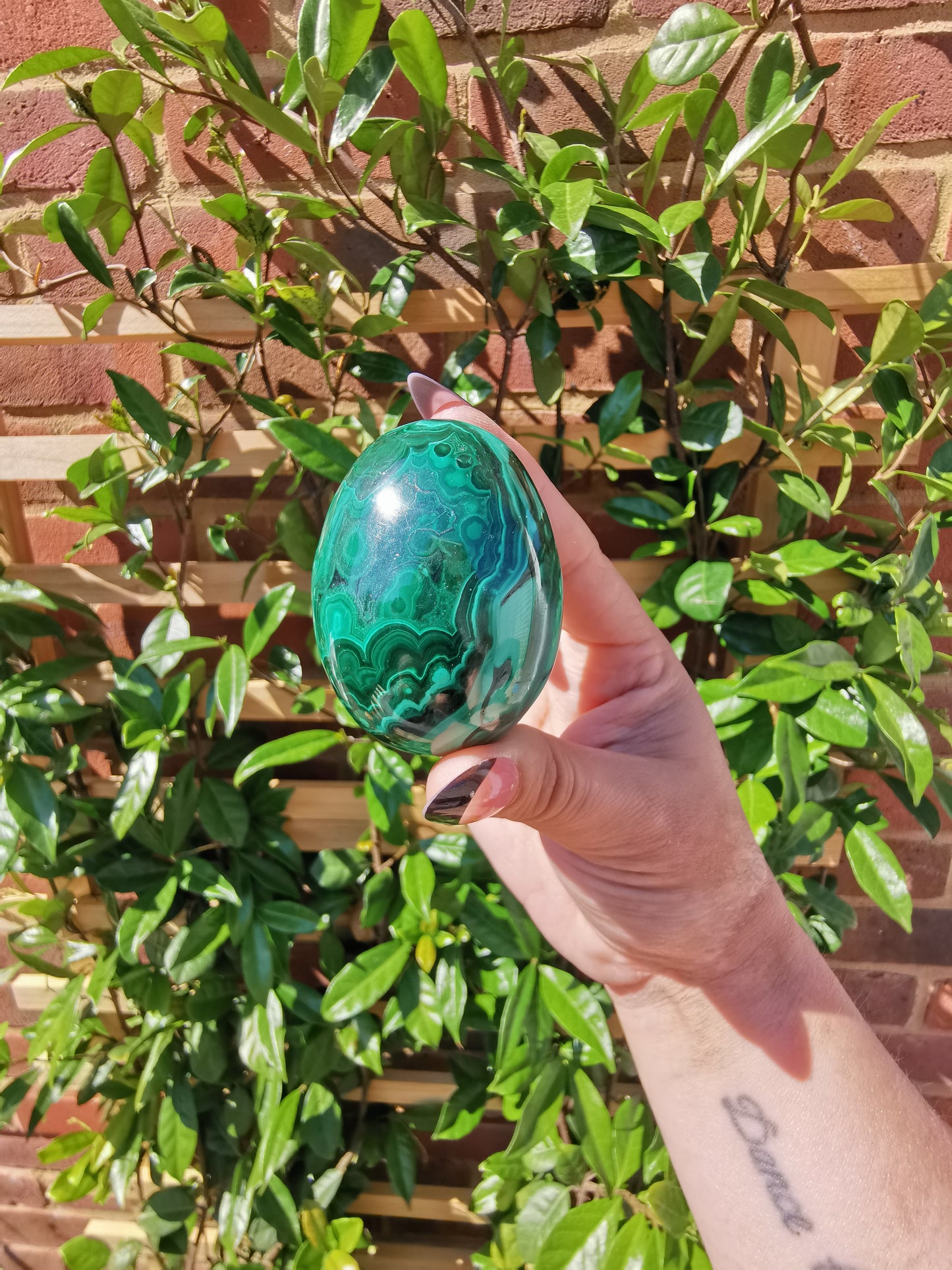 A Grade Flower Banded Malachite Eggs from Congo