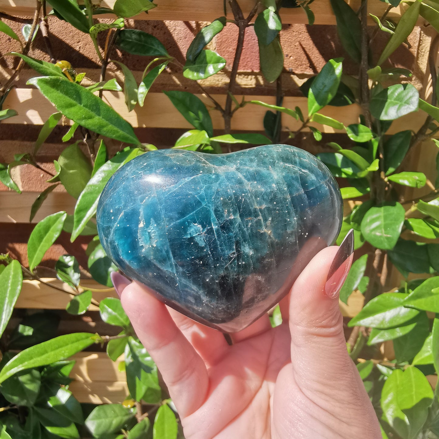 Blue Apatite Hearts from Madagascar