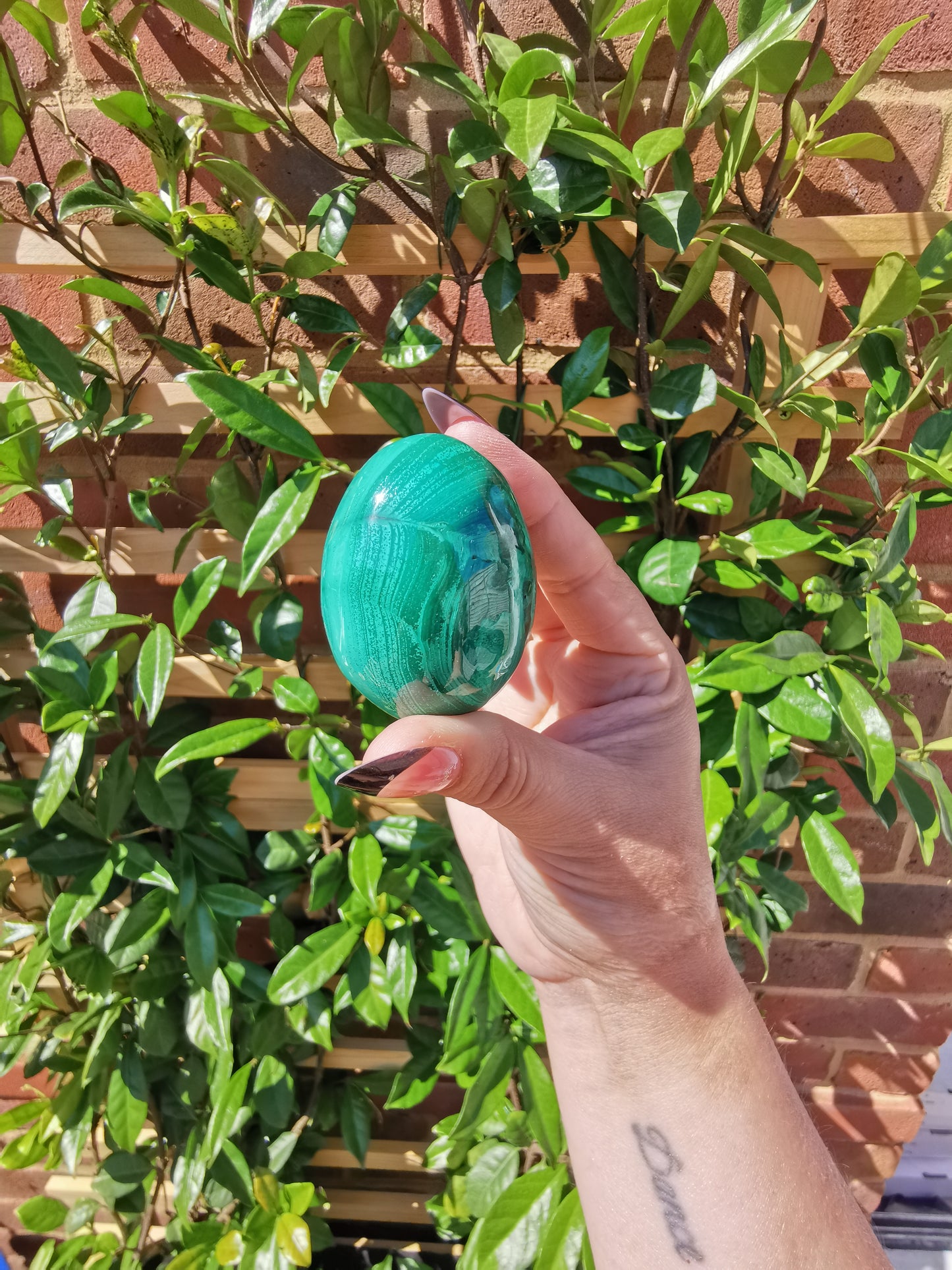 A Grade Flower Banded Malachite Eggs from Congo