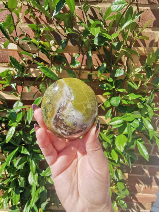 Green Opal Palm Stones from Madagascar