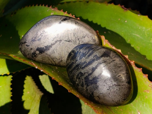 *Rare* Pharoah Stone - Pyrite in Basalt Palm Stones from Zimbabwe