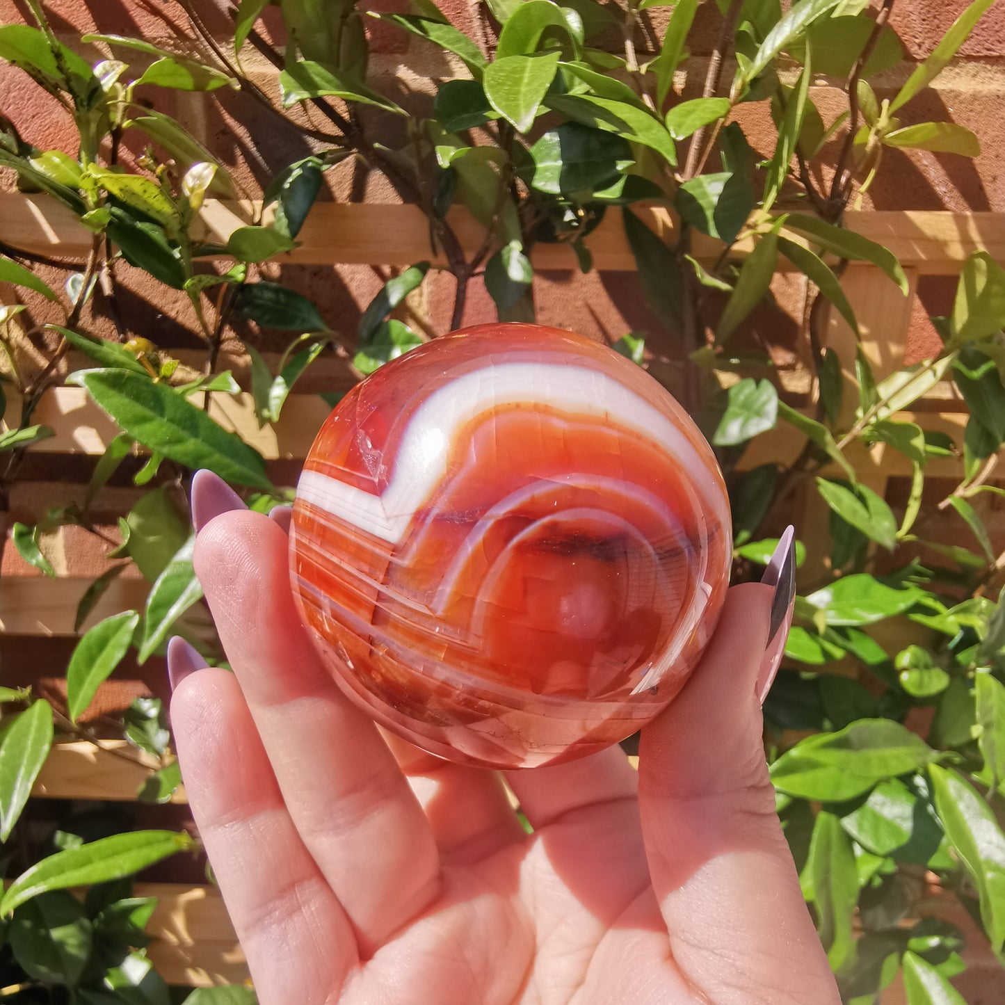 Carnelian Agate Spheres from Madagascar