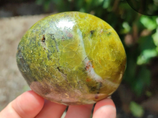 Green Opal Palm Stones from Madagascar