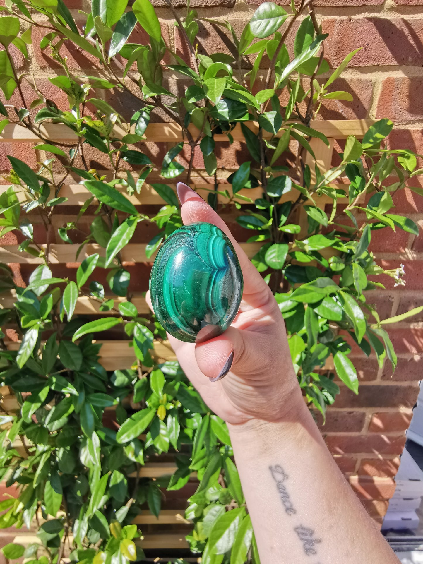 A Grade Flower Banded Malachite Eggs from Congo