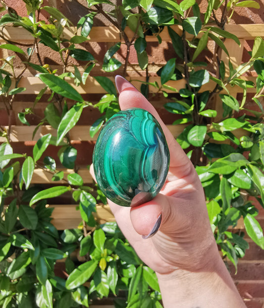 A Grade Flower Banded Malachite Eggs from Congo