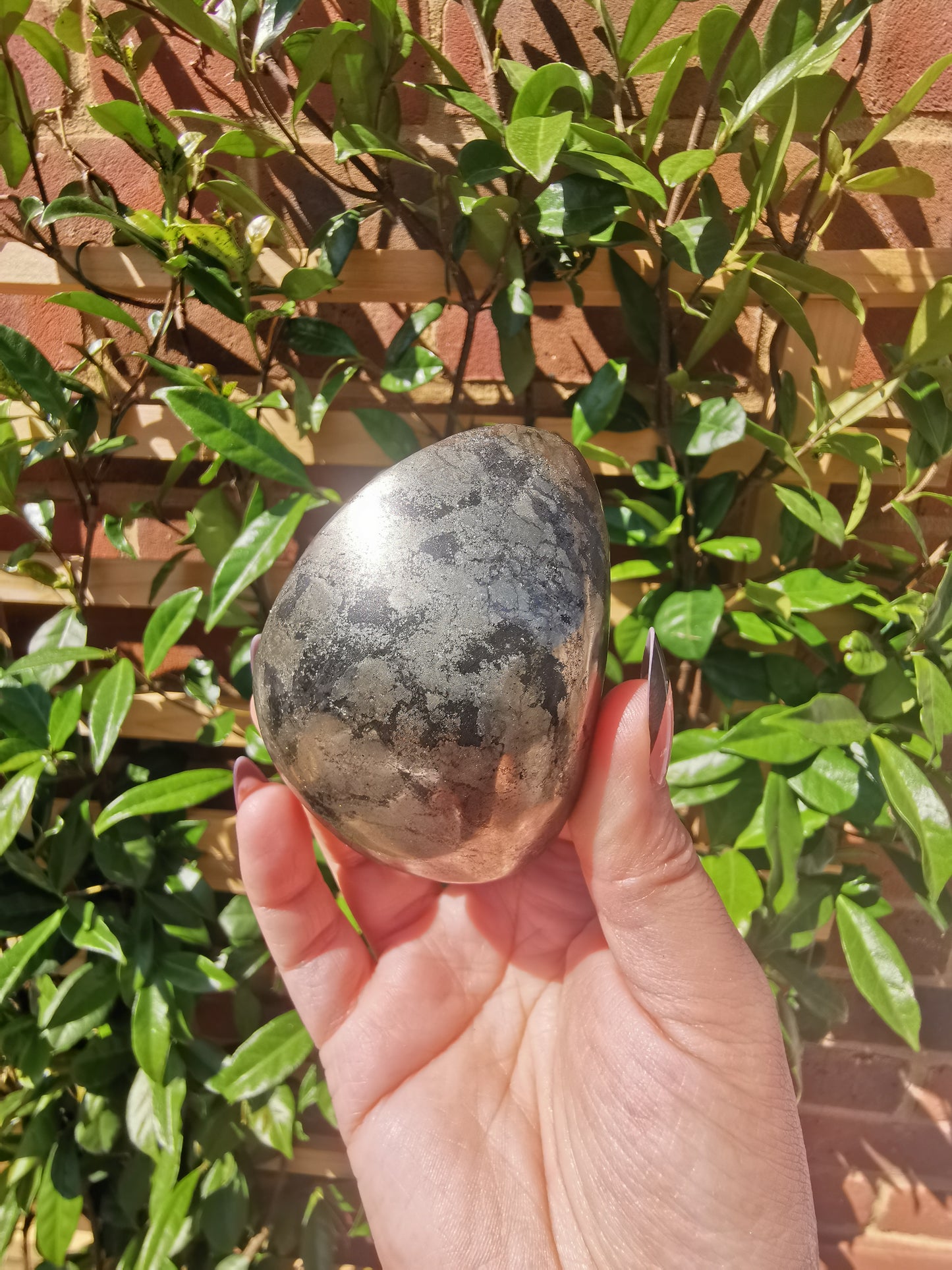 *Rare* Pharoah Stone - Pyrite in Basalt Palm Stones from Zimbabwe