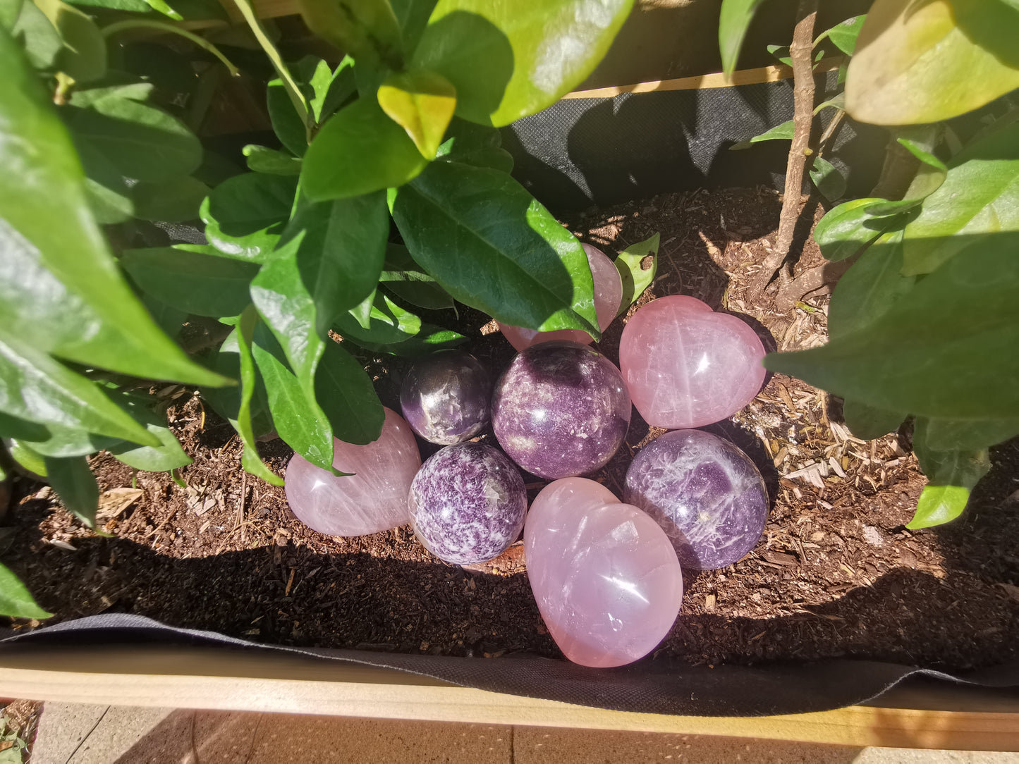 Lepidolite with Rubellite Spheres from Ambatondrazaka, Madagascar