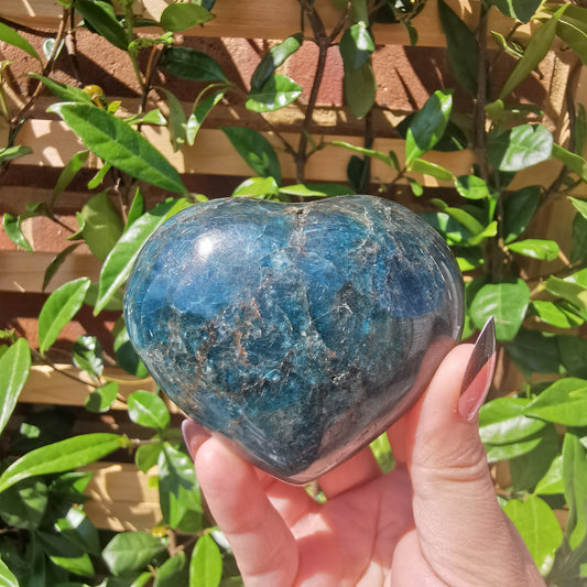 Blue Apatite Hearts from Madagascar