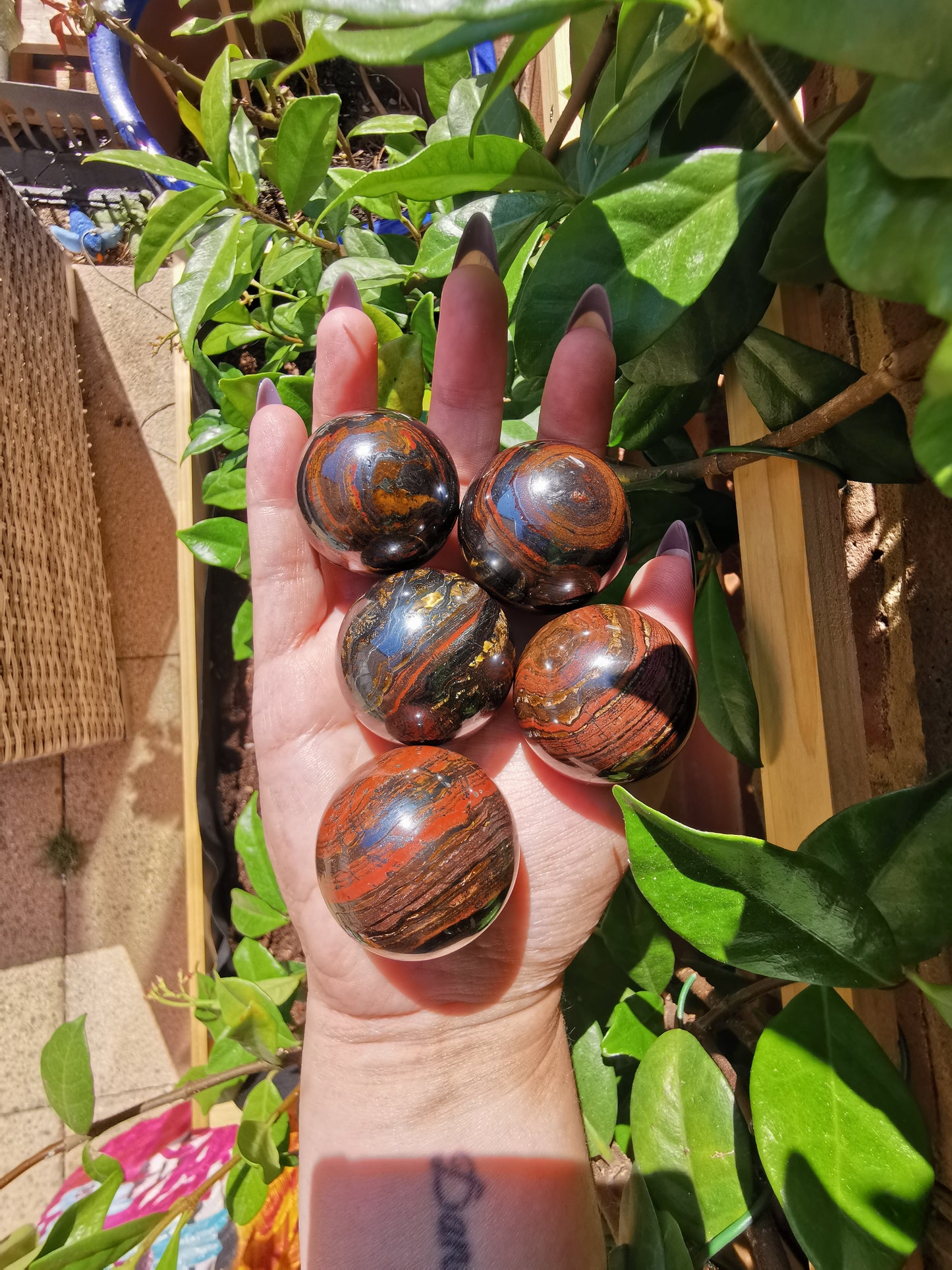 Small Tiger Iron Spheres from Australia