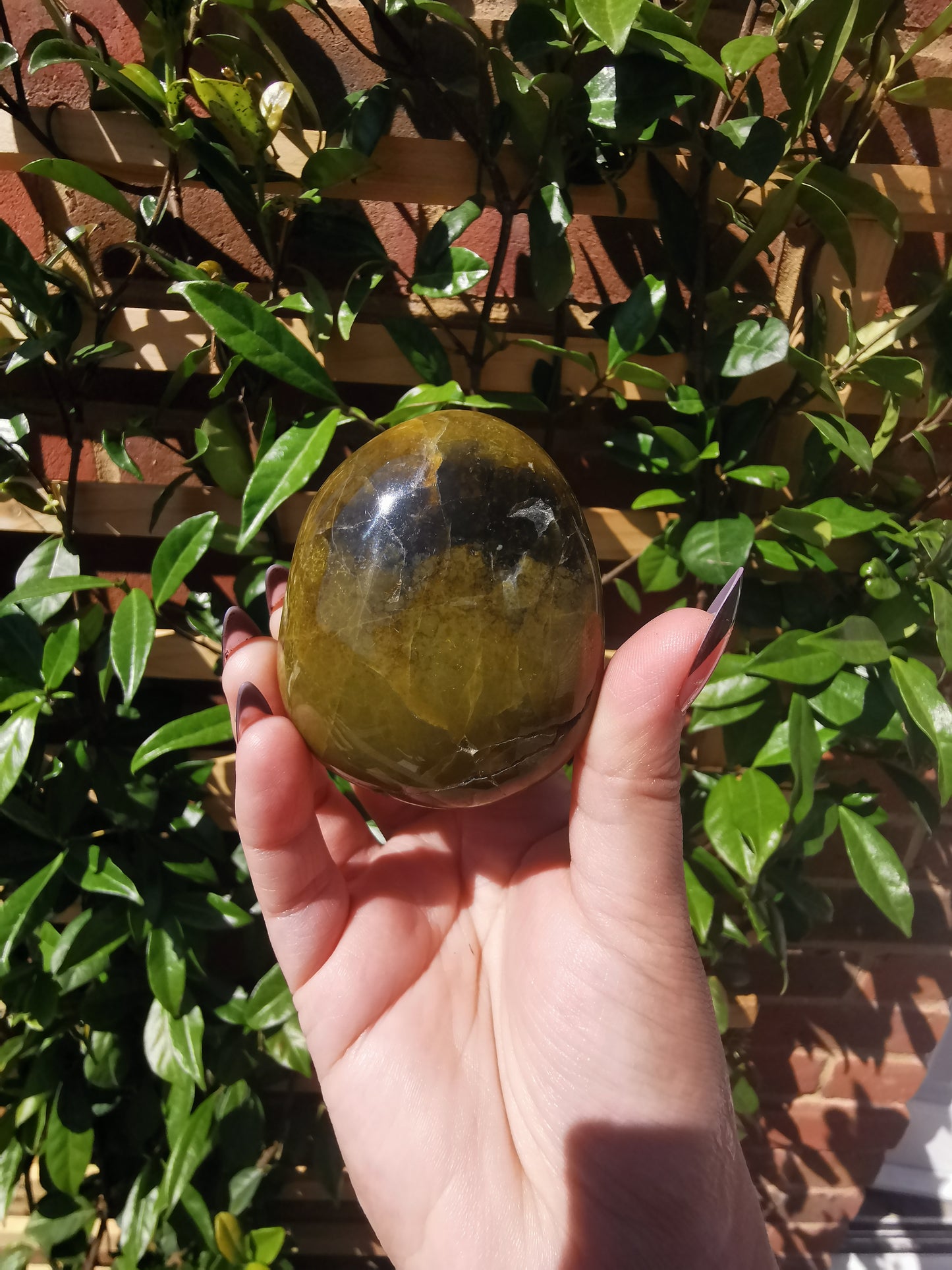 Green Opal Palm Stones from Madagascar