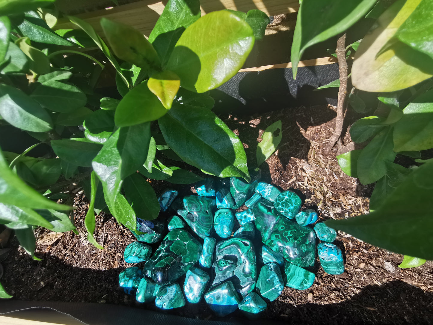 Malachite Free Forms from Congo