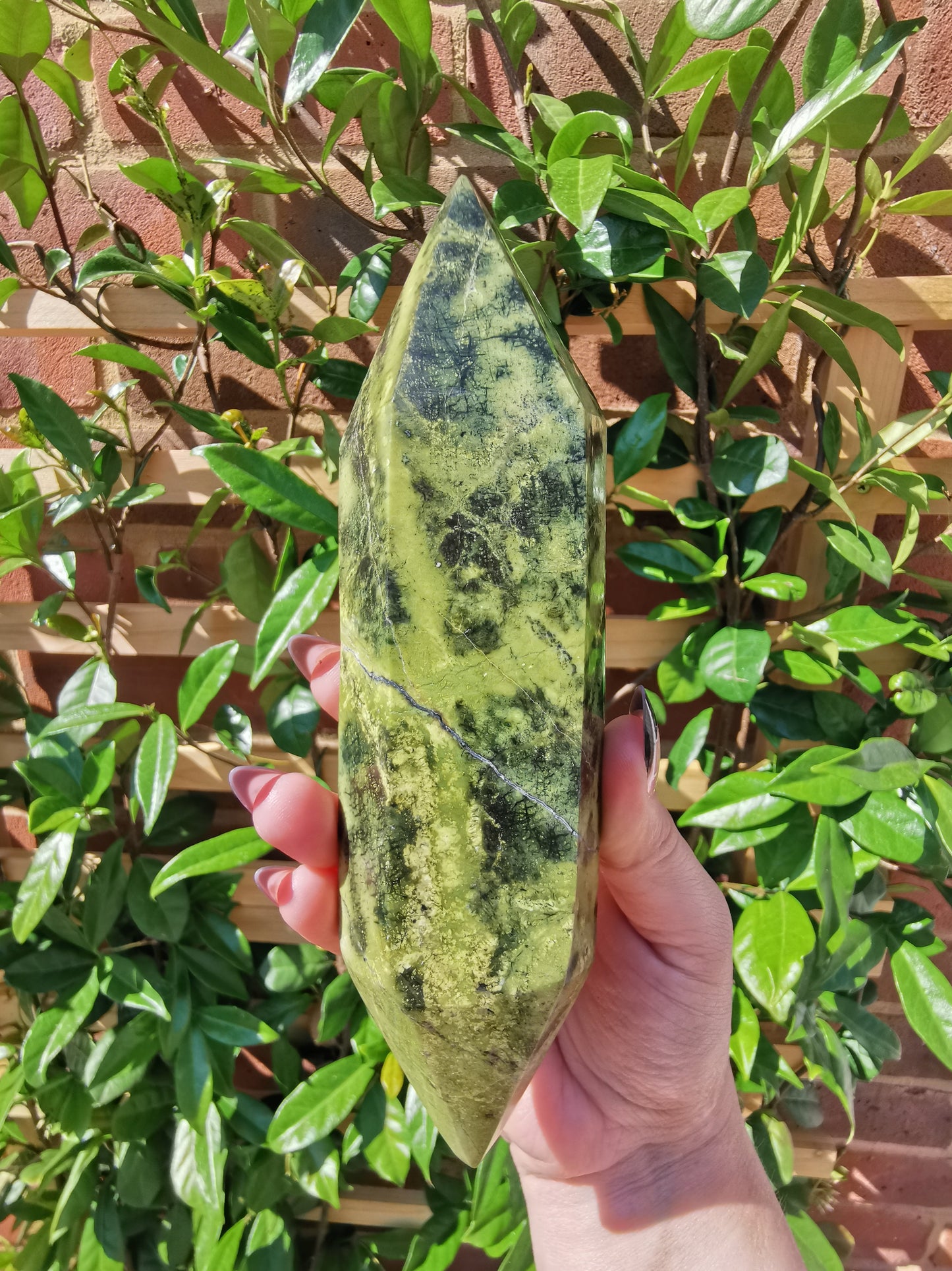 *Rare* Double Terminated Leopard Stone Points from Nyanga, Zimbabwe